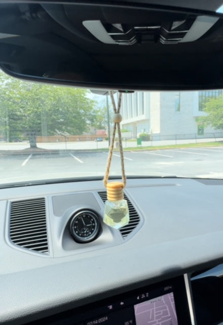 Hanging Car Fragrance Fresheners