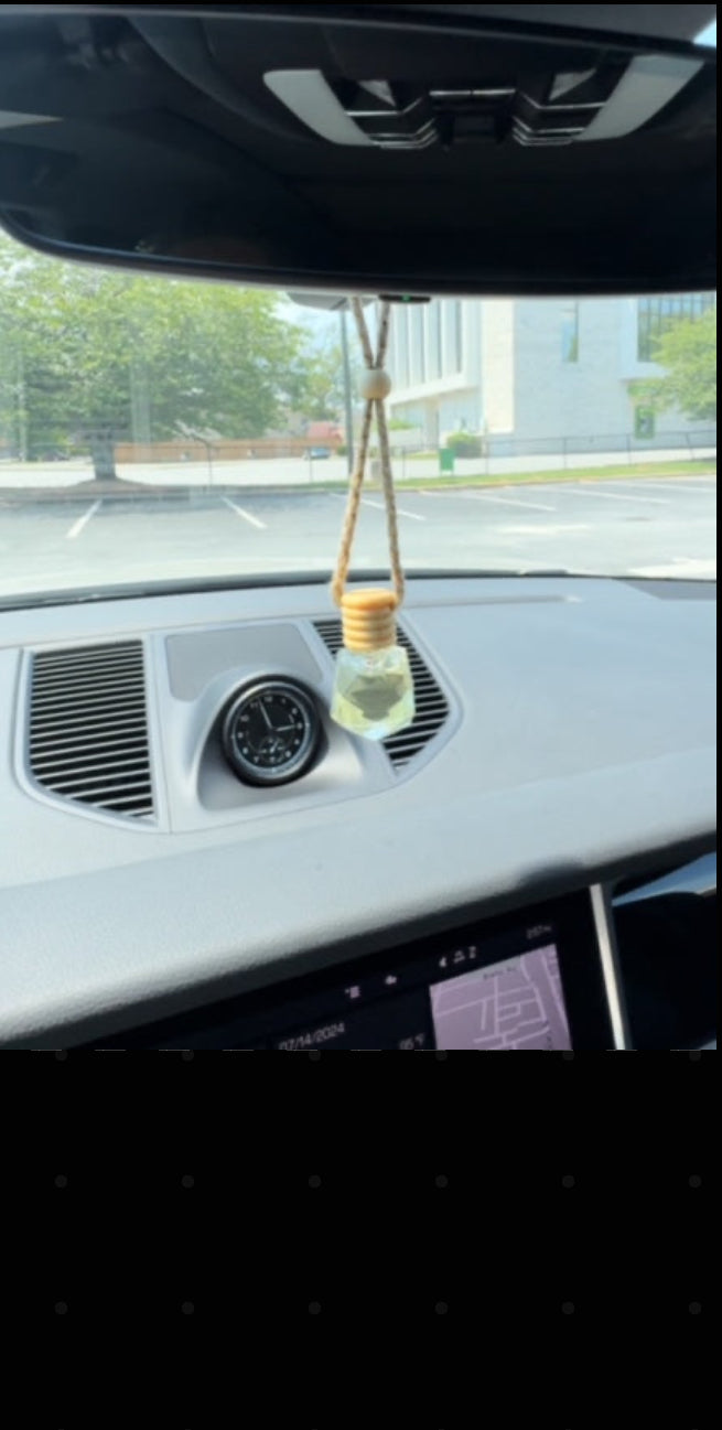 Hanging Car Fragrance Fresheners